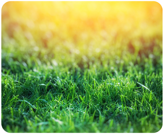 Printed Mouse Mat 22x18cm | 3mm Thick | Design #103 | Perfect for Office & Home Use